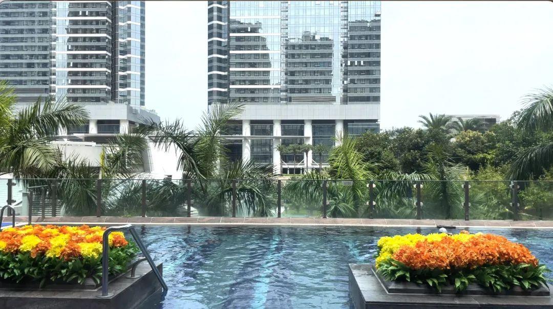 香港买房丨九龙站上盖入门屋苑:漾日居 - 知乎