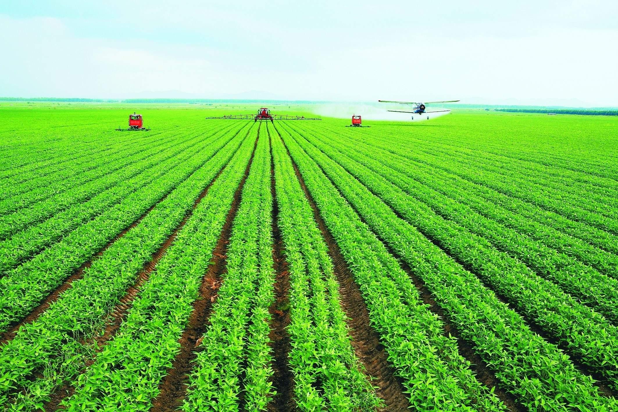 外东北耕地潜力到底怎么样? - 知乎