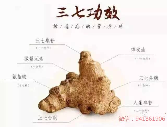 三七为何既能活血又能化瘀 止血又能活血 这不是很矛盾吗?————三七成分功效大解读 - 知乎