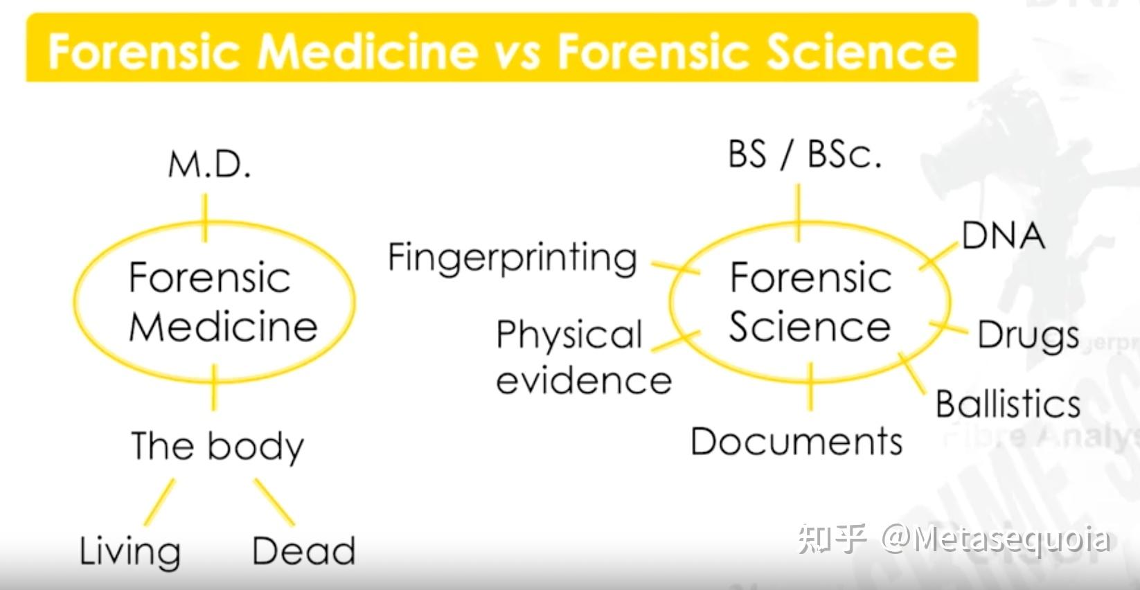 南洋理工法医学/法庭科学（forensic science）课程笔记（一） - 知乎