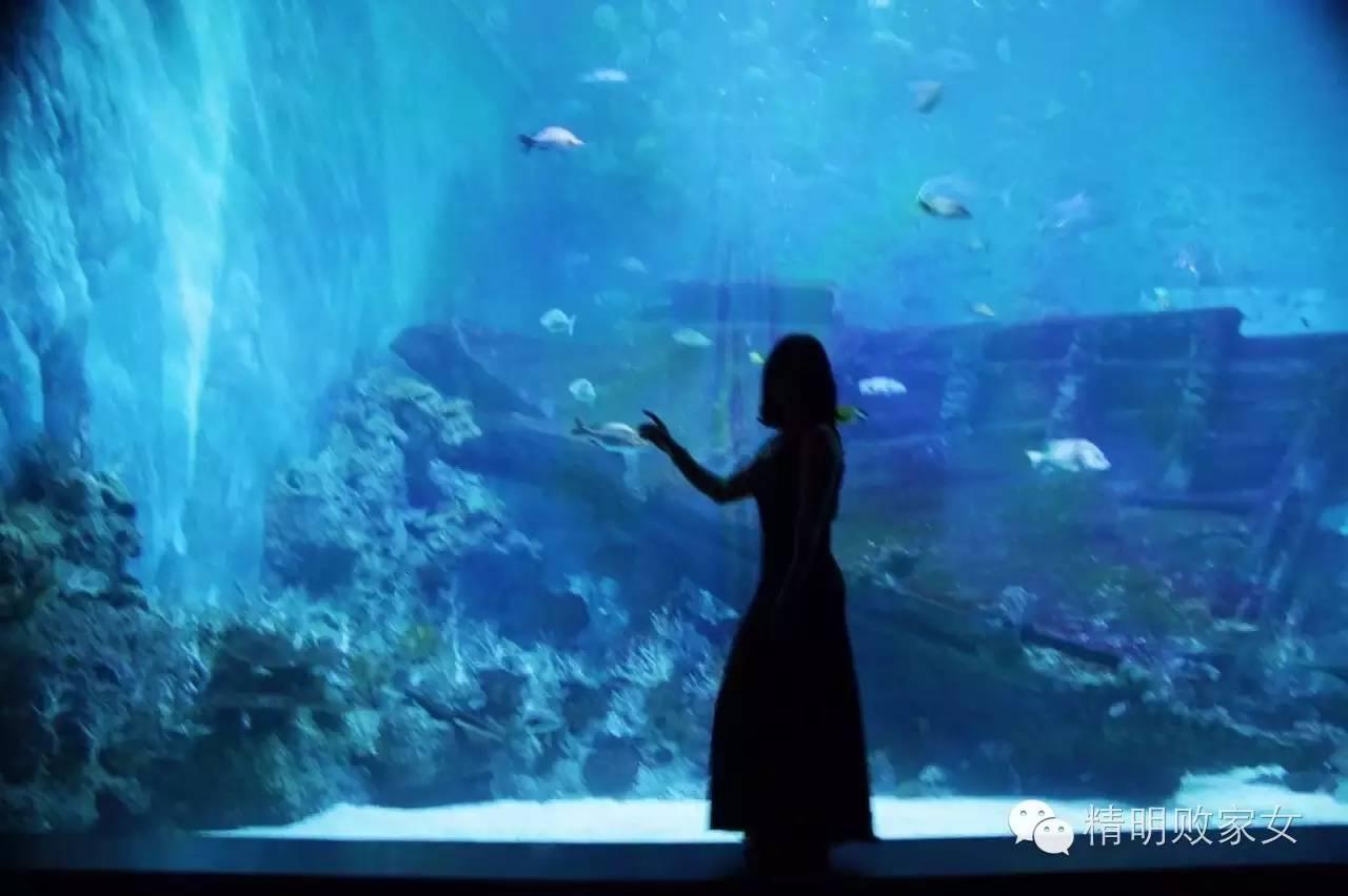 下周去新加坡出差,樟宜机场免税店有什么血拼