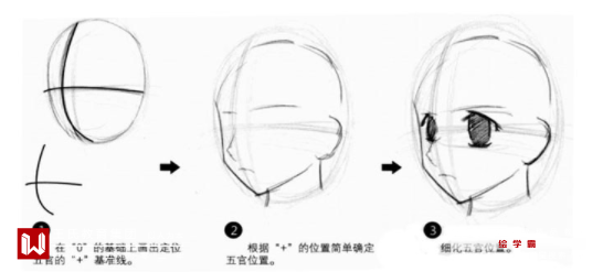 動漫人物五官比例怎麼確定五官比例畫法教程