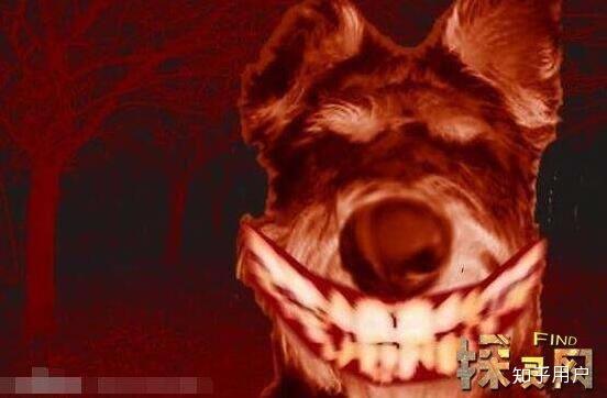 1990年哈士奇恐怖微笑事件具体怎么回事