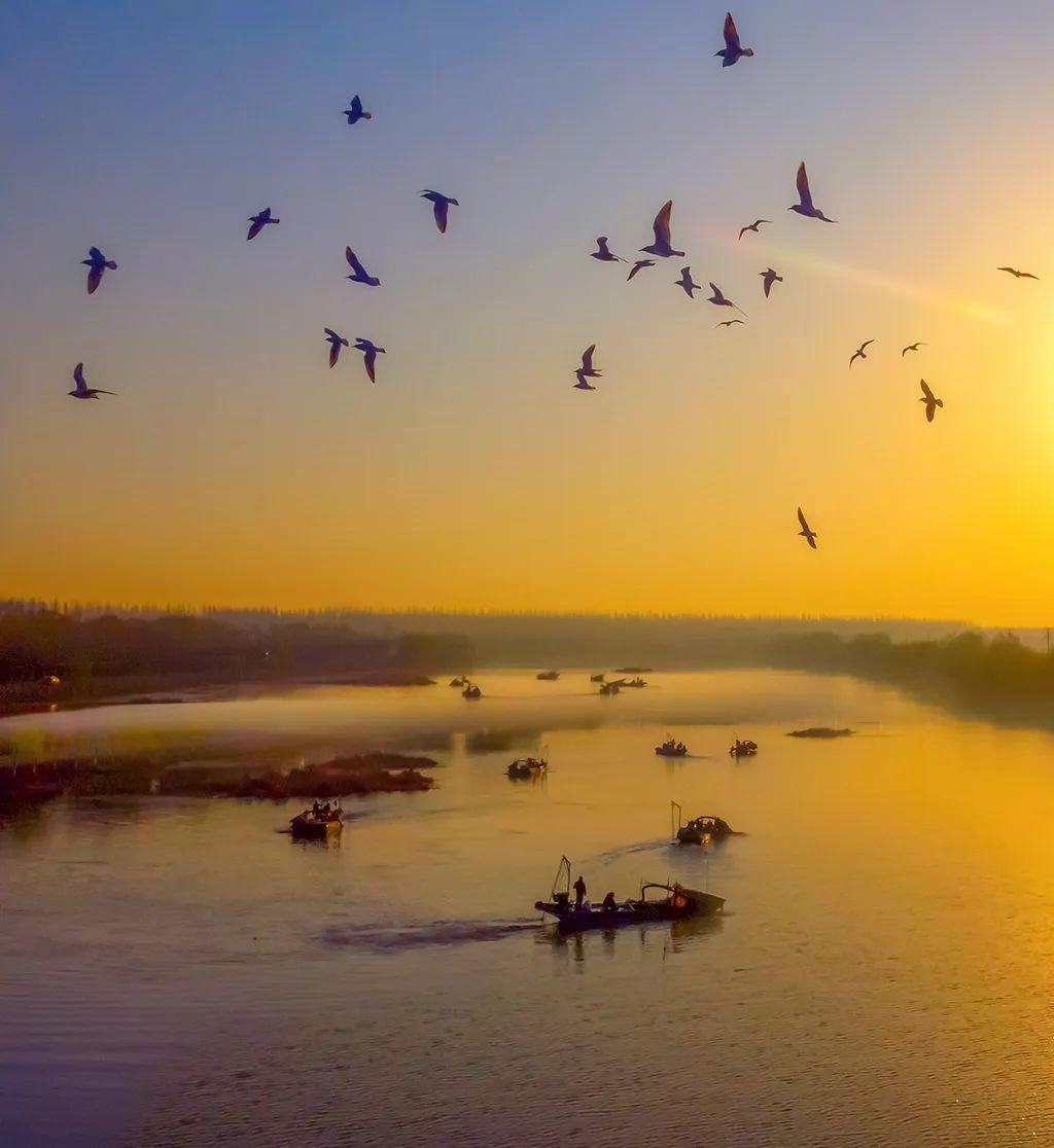 黄淮名酒带,都有谁? - 知乎