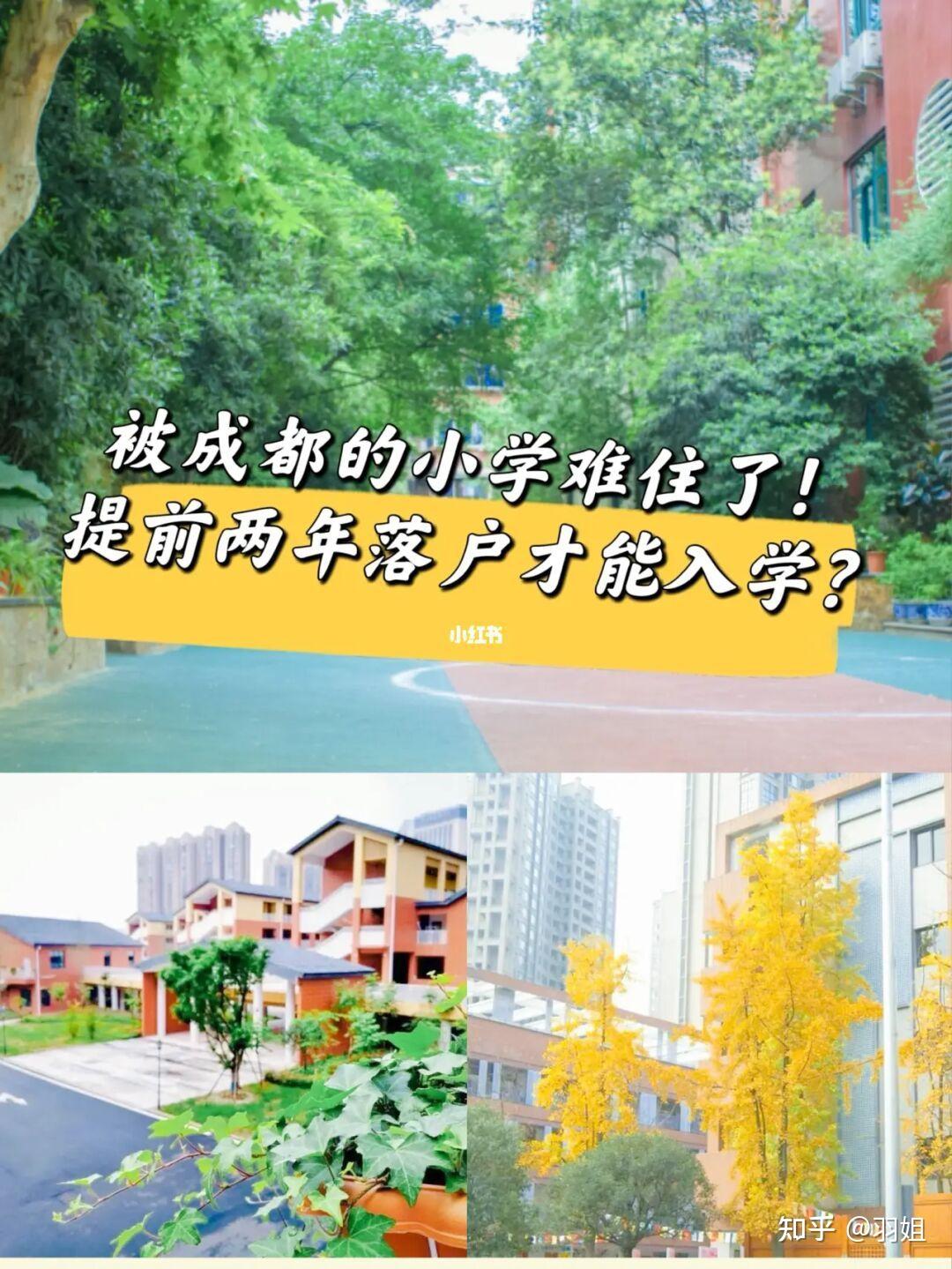 草堂子美小学口碑图片