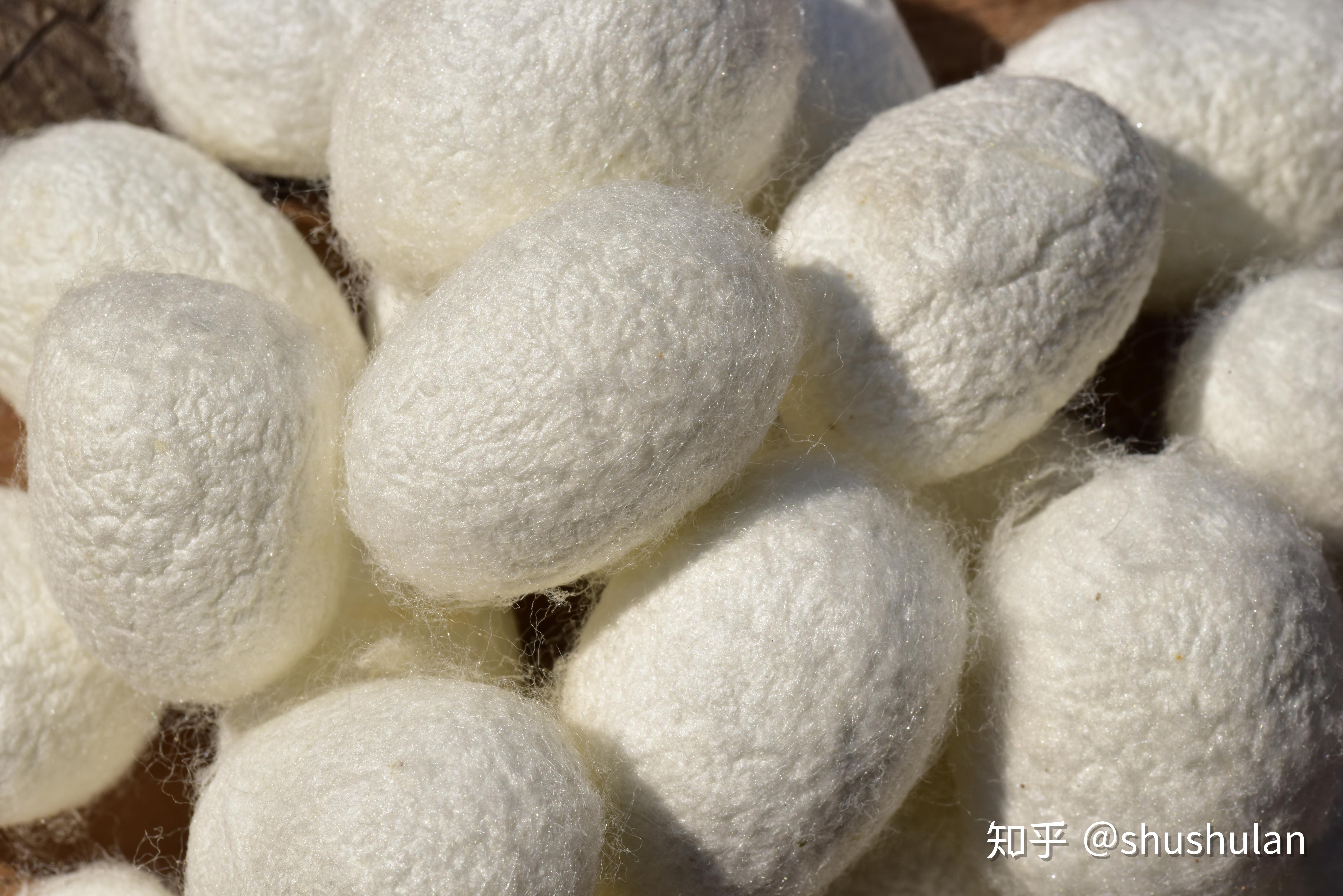 蚕大姐手工蚕丝被究竟怎样?亲身购买体验后,从此远离不良商家!