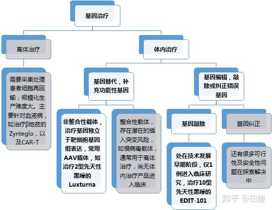 基因治疗流程图图片