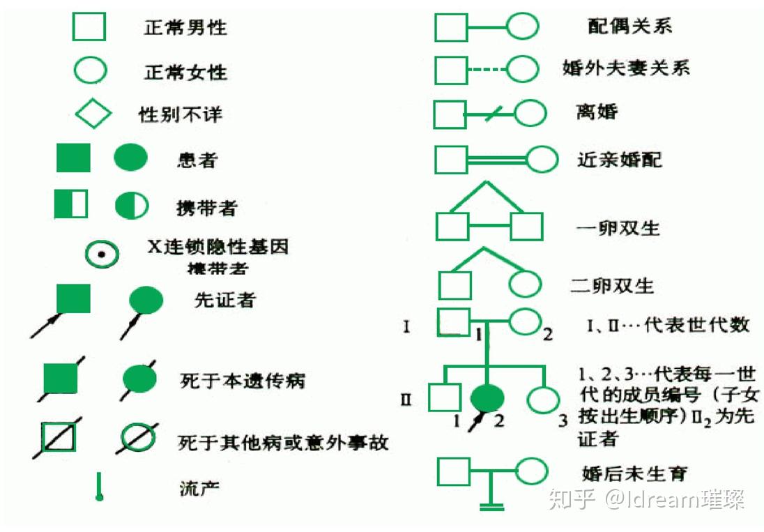 遗传家系图绘制图符号图片