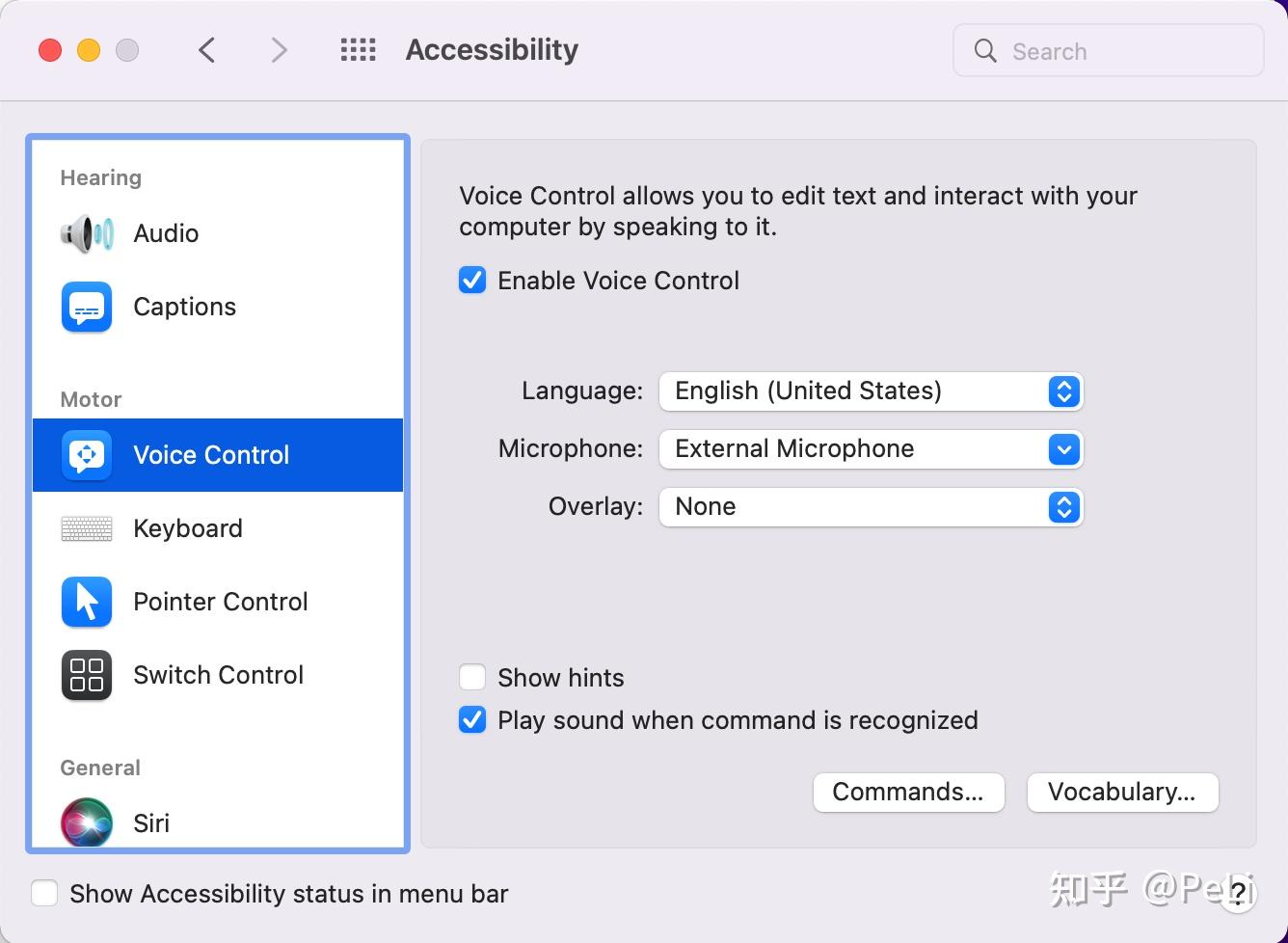 ipad-mac-mini