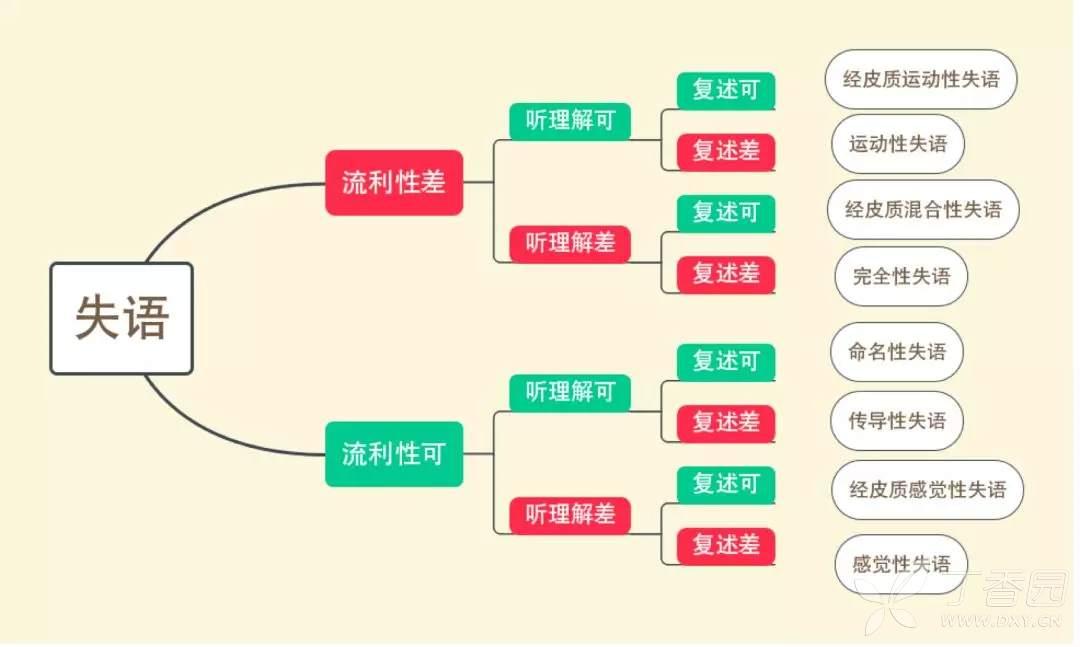 神内临床笔记41 了解失语 这一篇就够啦 - 知乎
