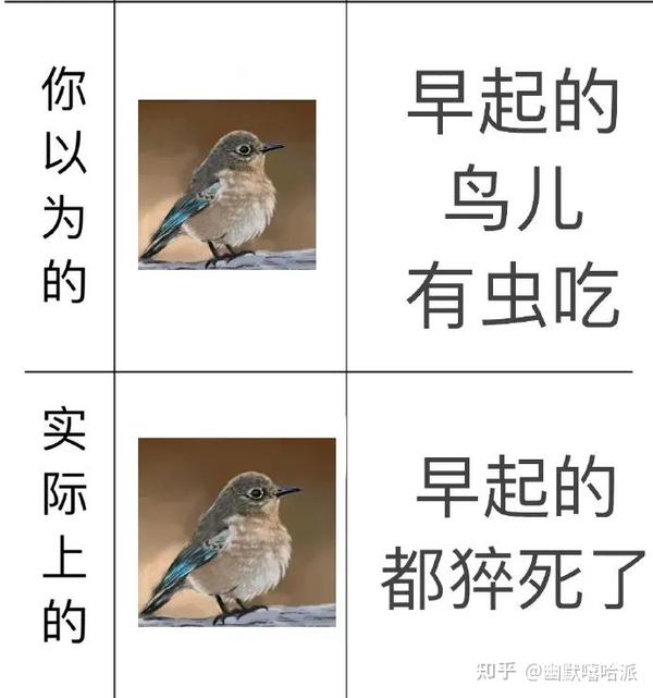 你有哪些让人一看就笑死的图片?(158) - 知乎