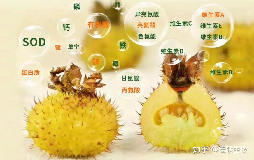 佳联生技|迈向深加工,刺梨综合产值连续4年增速超35%! - 知乎