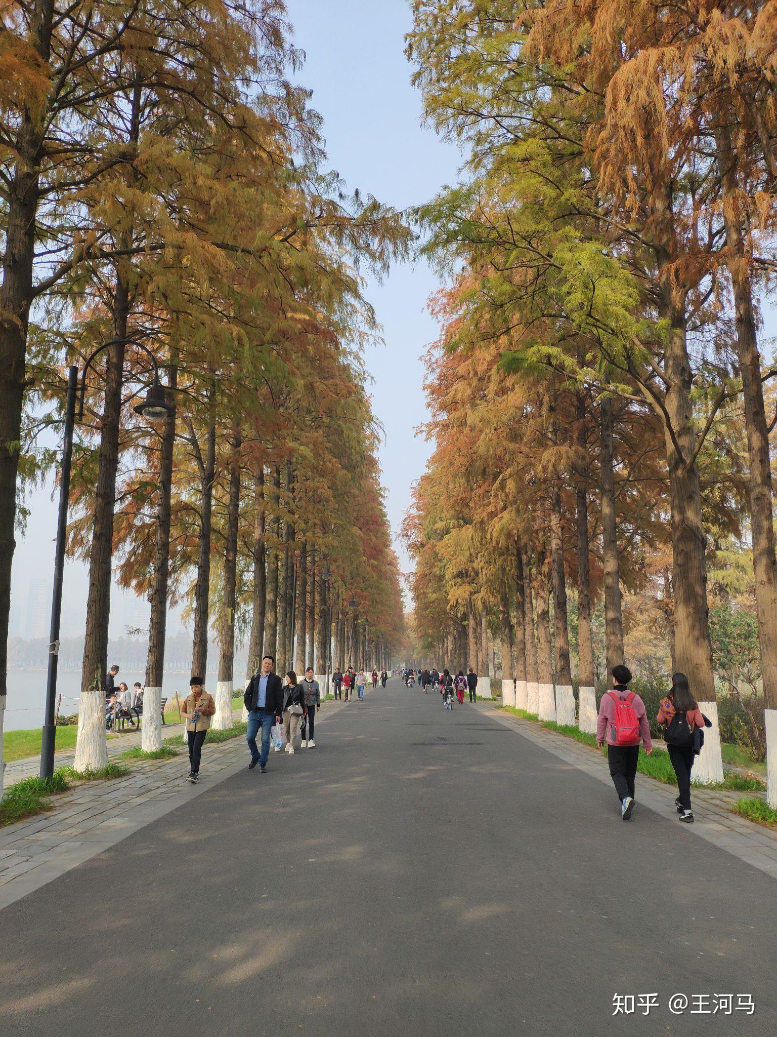 武汉有哪些旅游景点值得你去?