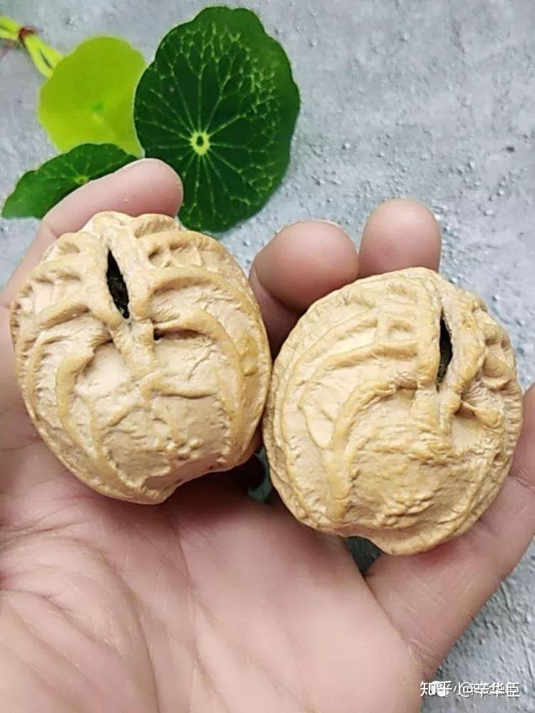 我信你个鬼，你这对核桃丑的很！