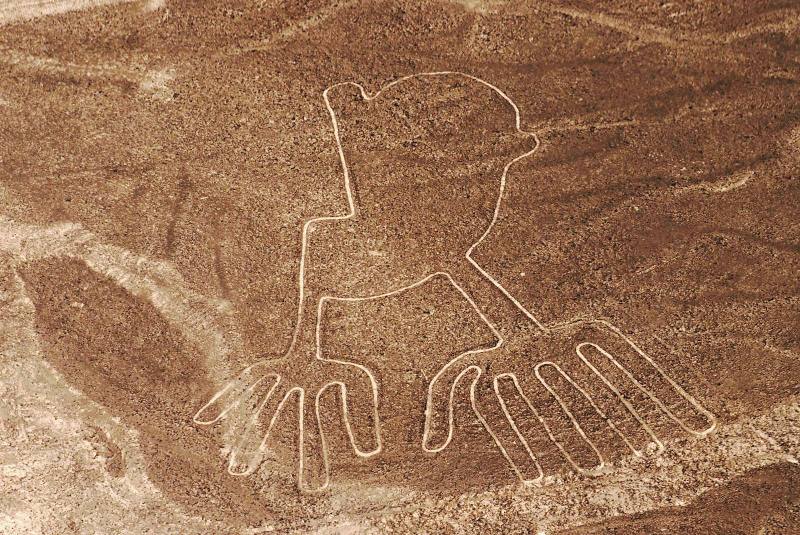 纳斯卡线条(nazca lines)是怎么回事? - 知乎