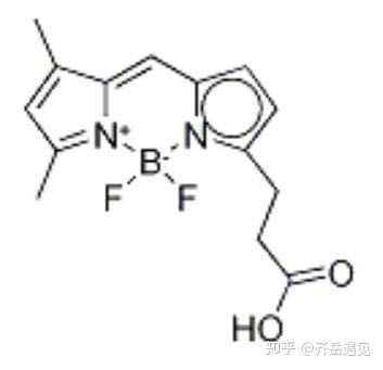 BDP FL染料 CAS:165599-63-3 - 知乎