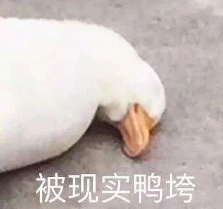 v2-019272107fcbb63ed151f3a93c9e1e98_b.jpg