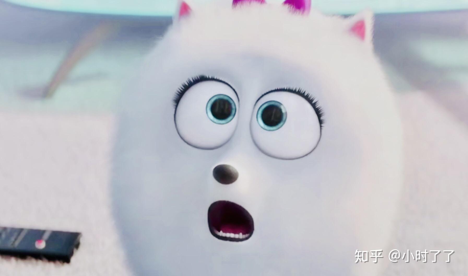 求《爱宠大机密》小白狗啾啾的头像? - 知乎