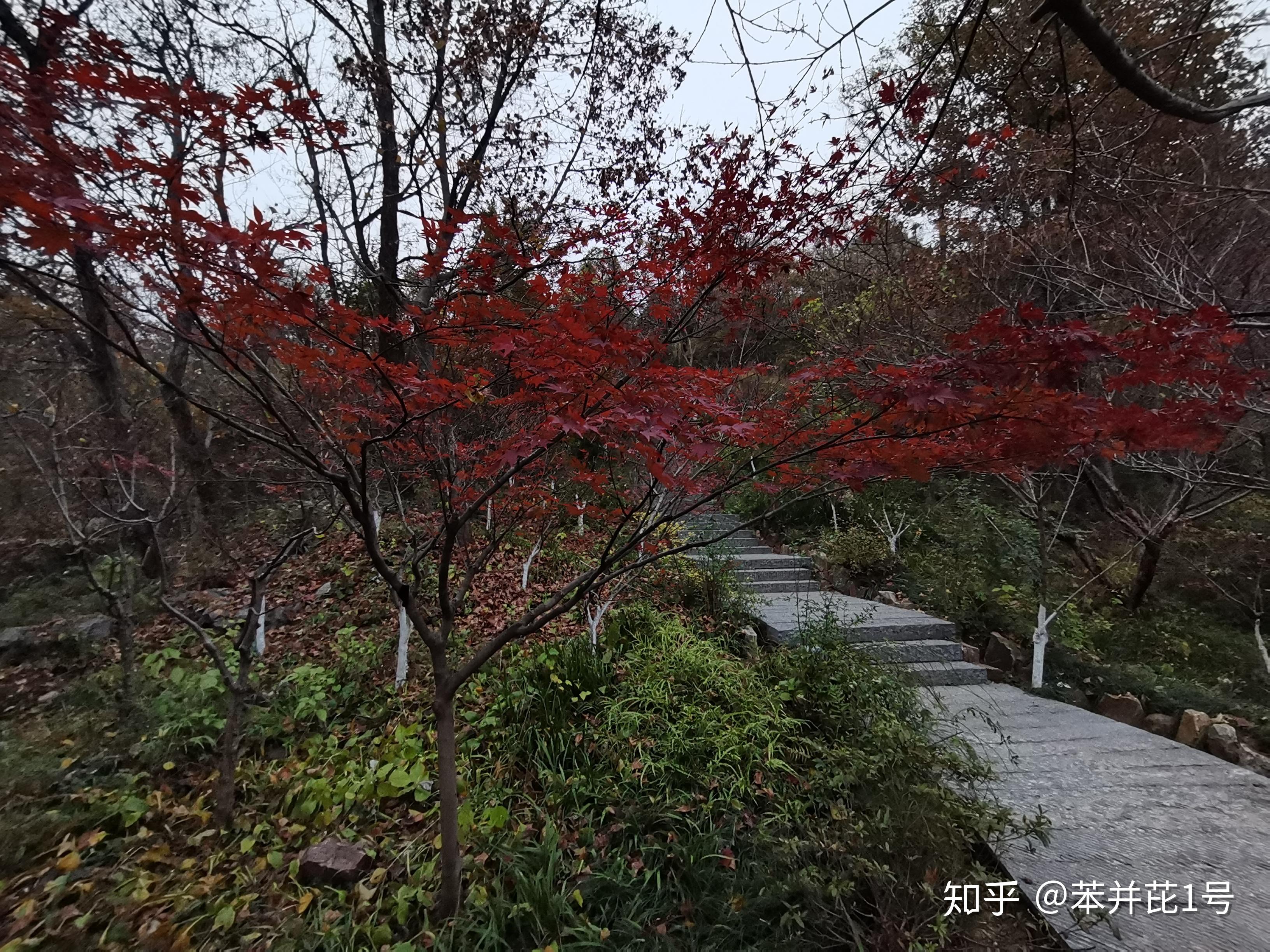 南京遊玩丨棲霞山