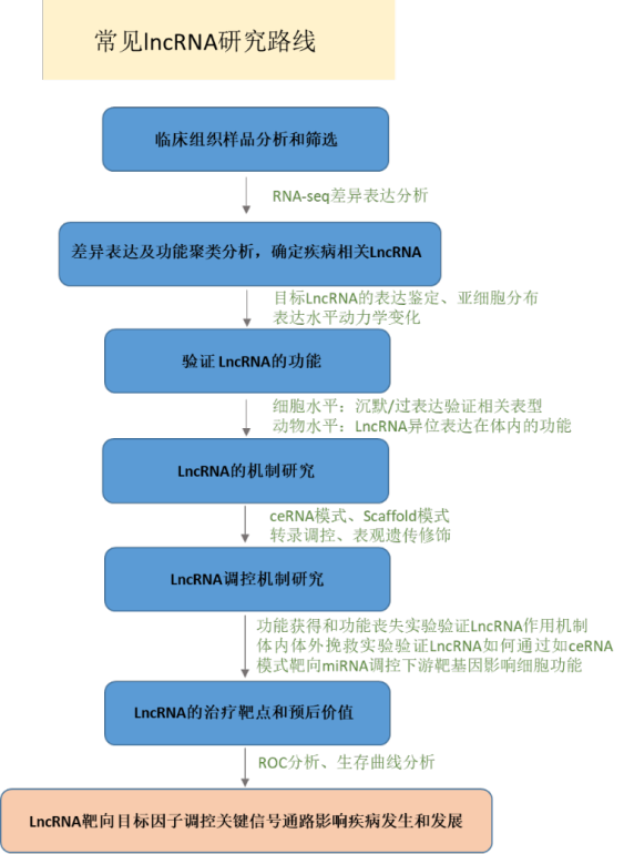 lncRNA的四大作用模型 - 知乎