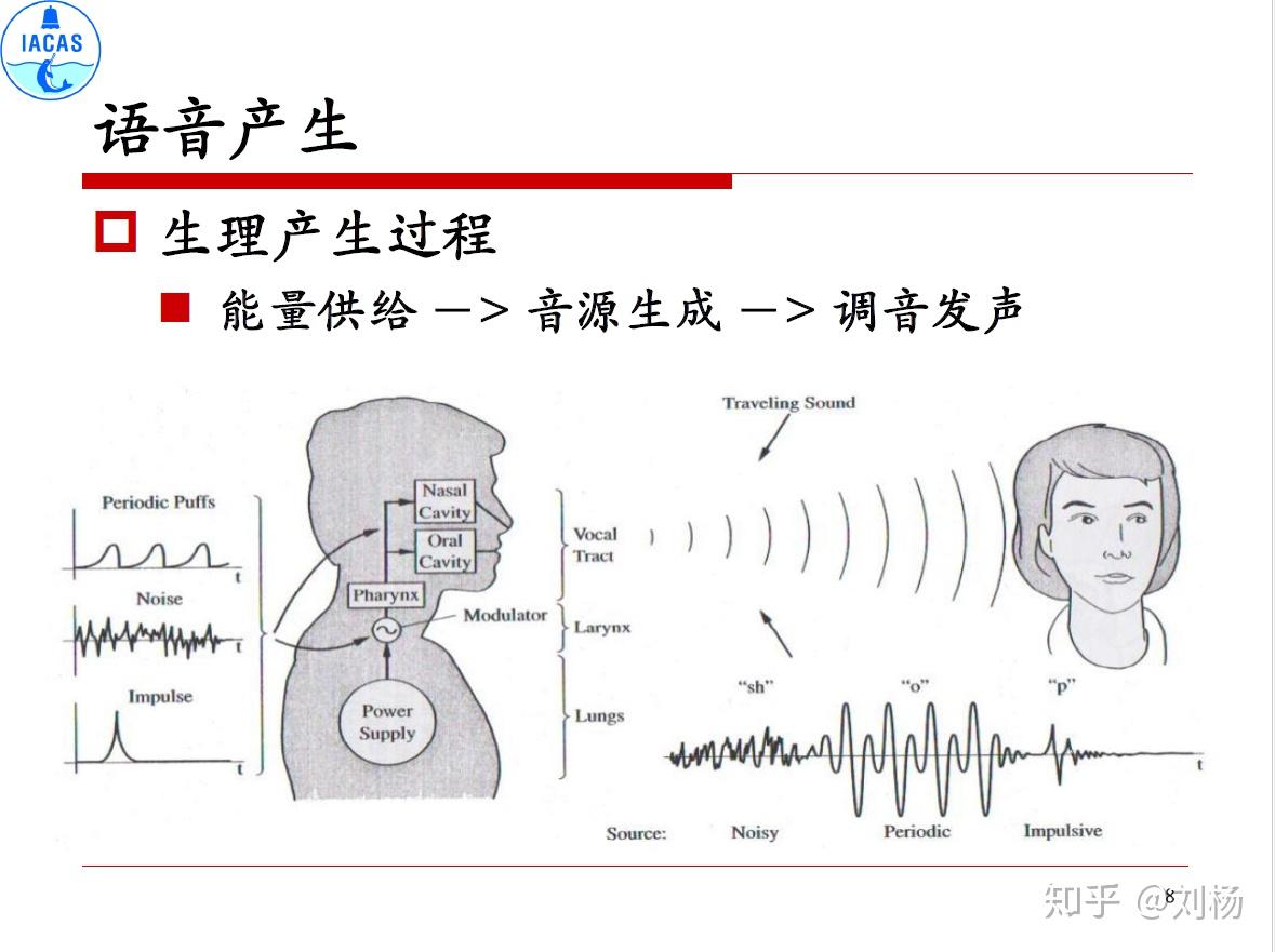 人的声音是怎么发出的发声机理是什么