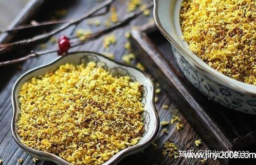 桂花茶能天天喝吗 知乎