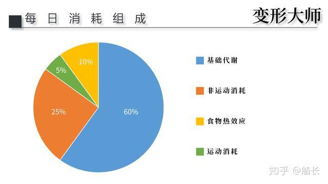 無需過分關注你的基礎代謝