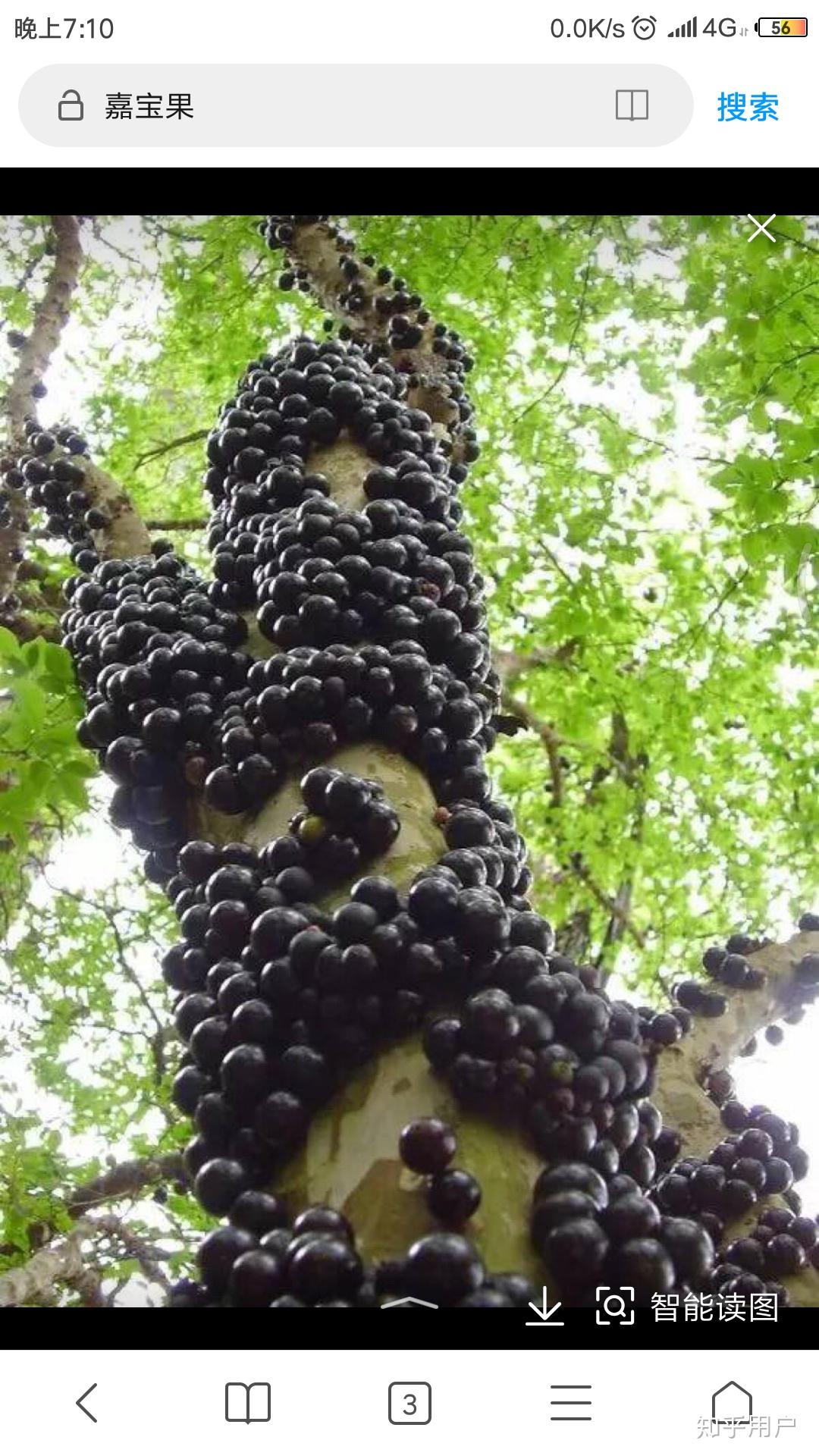 有哪些逼死密集恐惧症的图片或视频