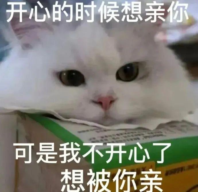 120张万能的表情包推荐-万能表情图片大全