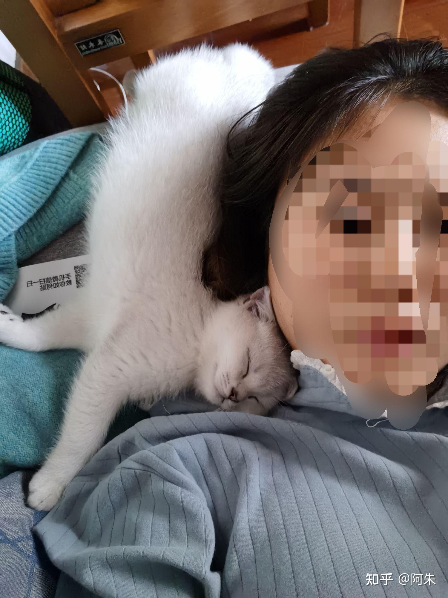 有对猫咪过敏还坚持在养猫的朋友吗