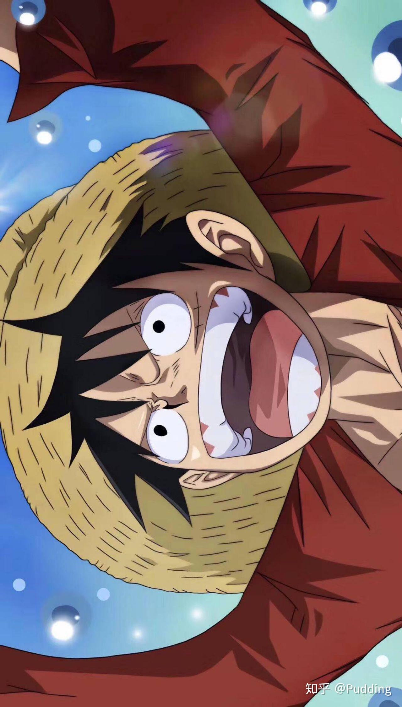 求壁纸路飞路飞路飞