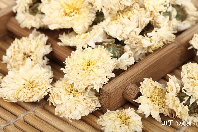 菊花茶的副作用 (菊花茶的副作用有哪些)
