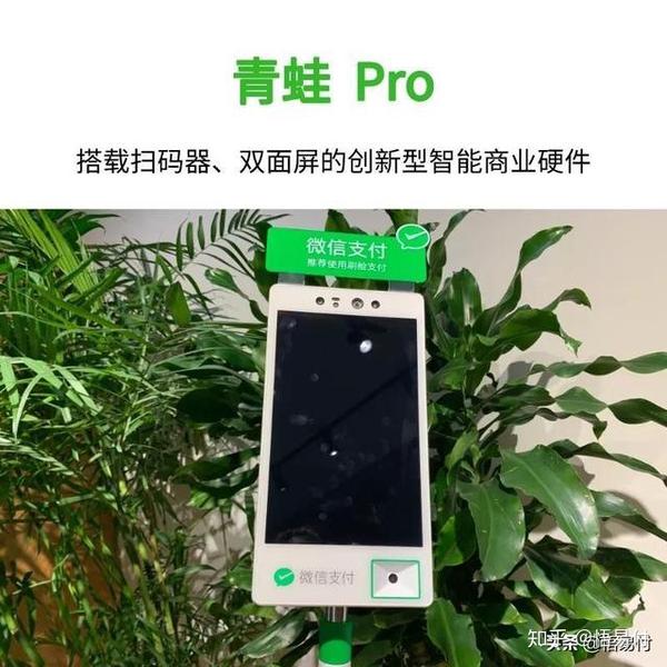 美颜还能人脸识别吗_刷脸支付将可美颜_刷脸支付颜值减免技巧