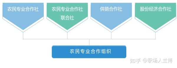 企查查专业版：农民专业合作组织的类型，以及各类型组织的受益所有人识别 知乎