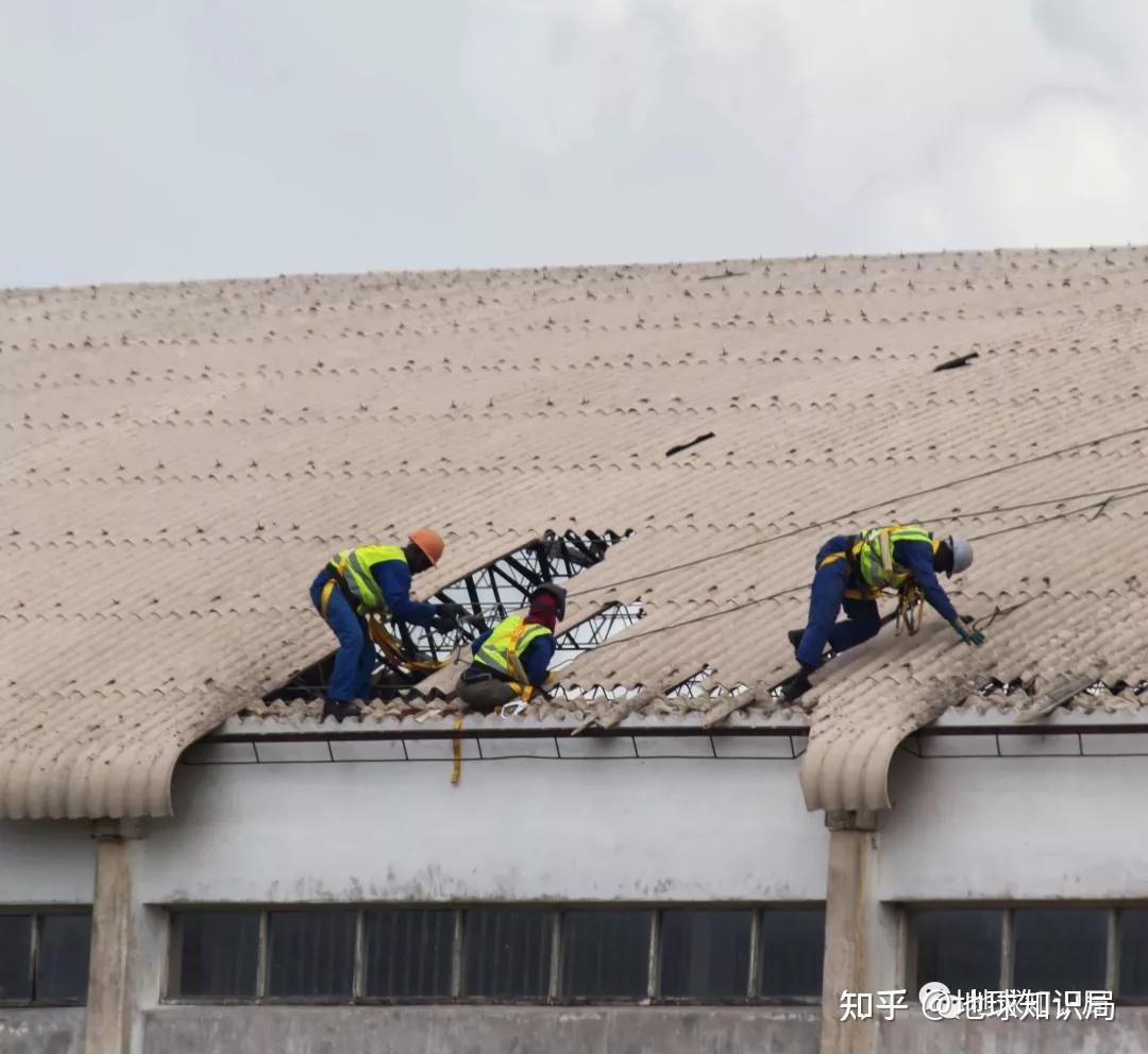 非洲真的缺粮食吗?