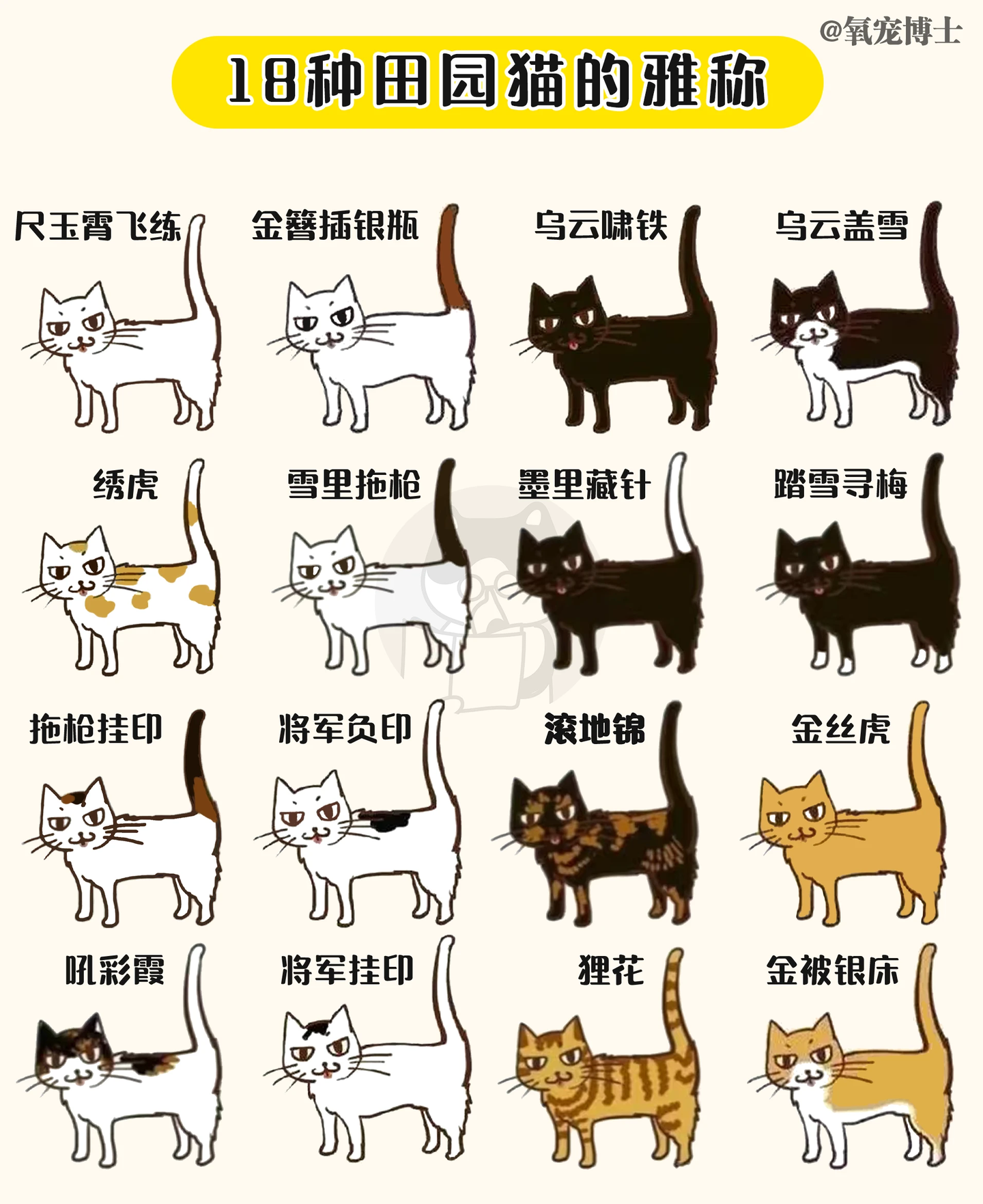18种田园猫咪的雅称|每个名字都很雅致！ - 知乎