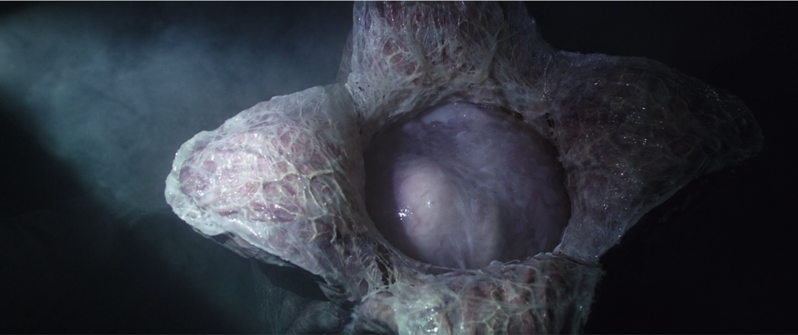 这里感染的是船长:从这里起就是典型的异形卵-抱脸虫-破胸而出的顺序