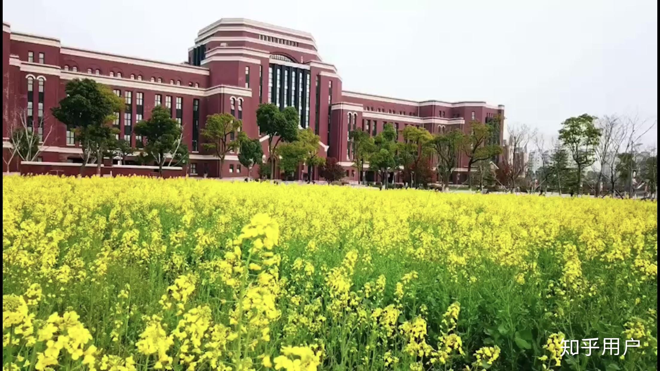 上海建桥学院校园风光图片