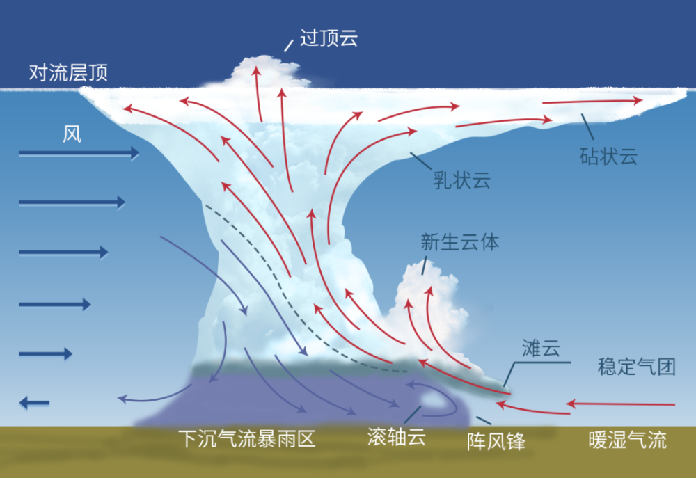 云层高度分布图图片