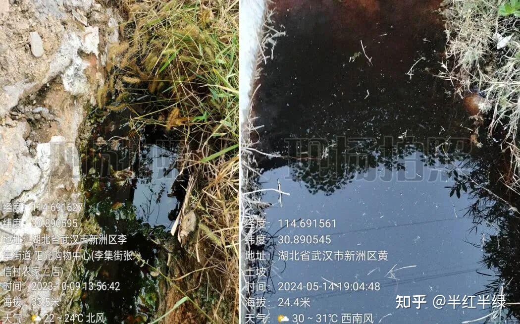 武汉585人村庄62人患癌!官方紧急介入,饮水安全真的不能再忽视了
