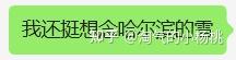 今天水一篇~哈尔滨2025年亚冬会50天倒计时！ - 知乎