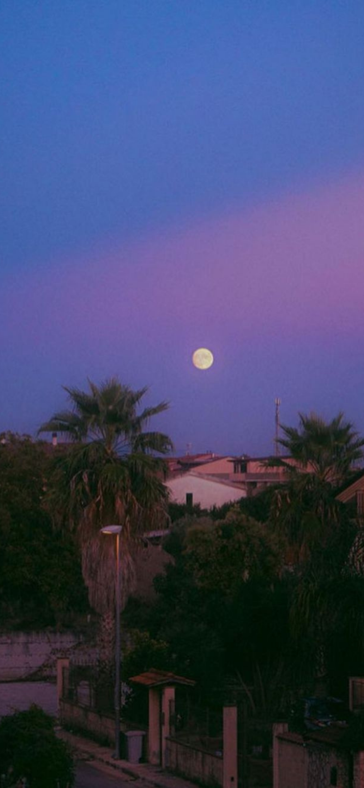 有哪些好看的全面屏手机壁纸或微信聊天背景图片