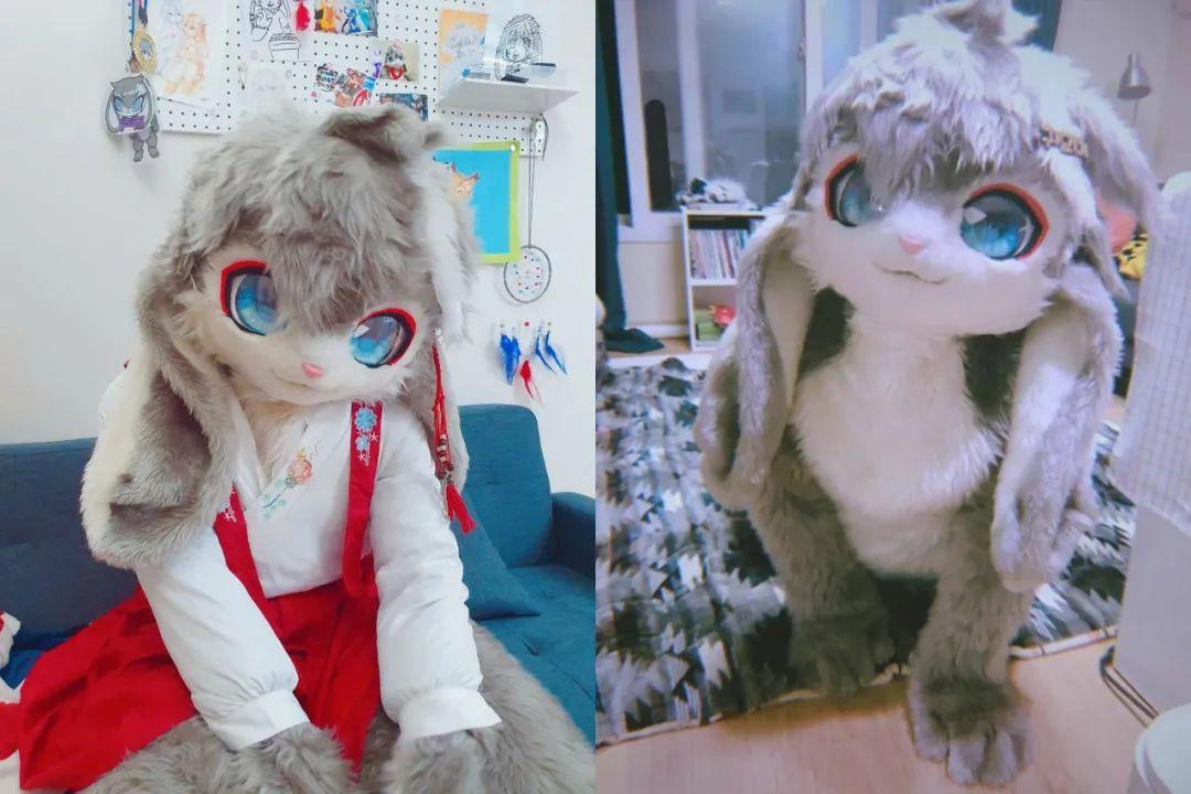 而兽装所用的"兽设",对furry控而言却是独一无二