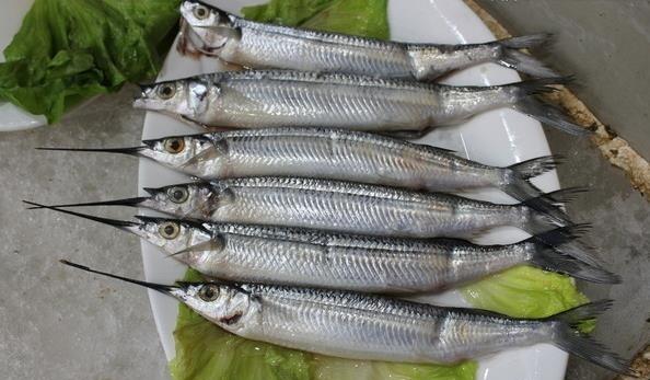 箭鱼,鲨鱼,方头鱼或鲭鱼,它们都含有大量的汞.