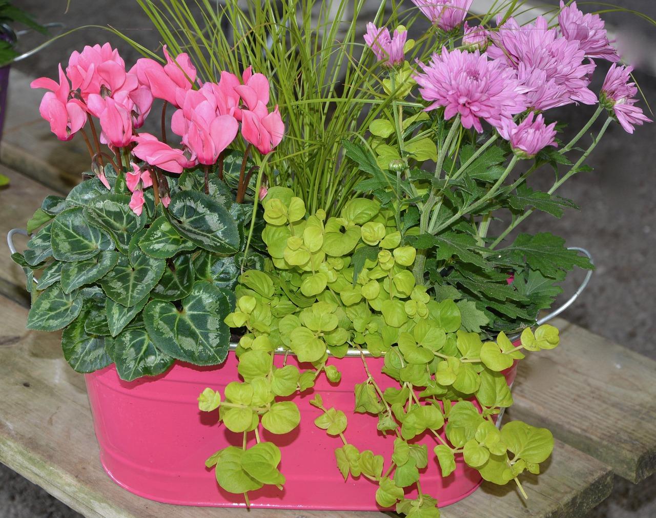 3. 花器风格统一