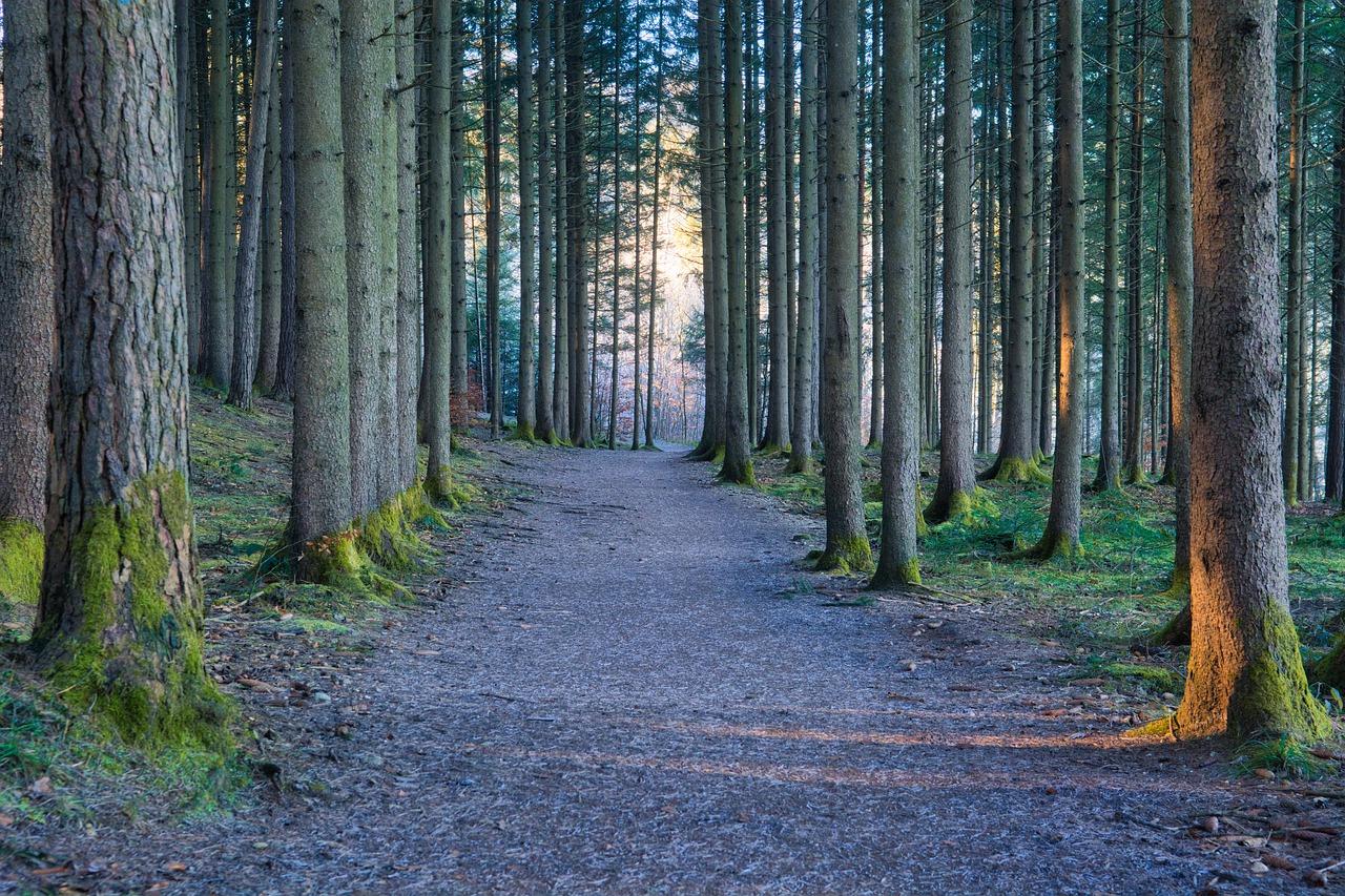 1. 学院周边配套