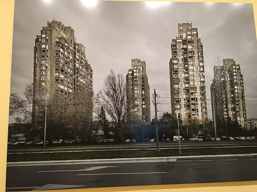 社会主义国家的审美特点是什么?