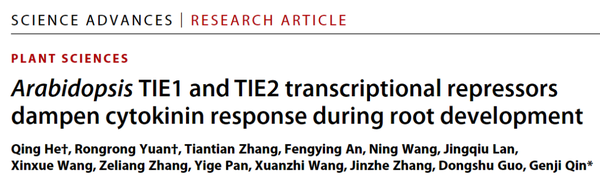 Science Advances 北京大学秦跟基课题组发现细胞分裂素信号途径重要新组分 知乎
