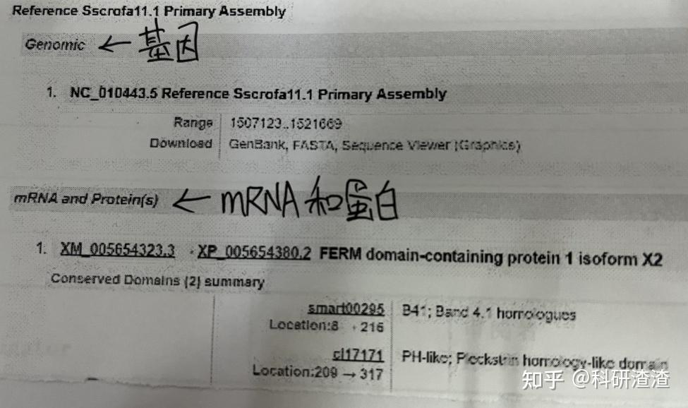 荧光定量PCR引物设计步骤 - 知乎