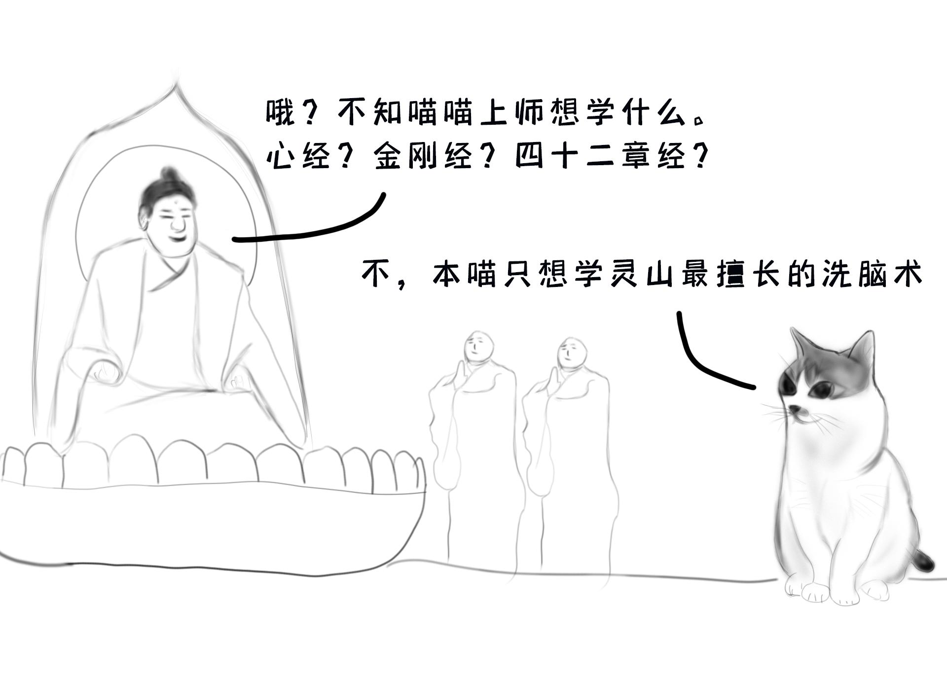 地球猫猫教西天取经